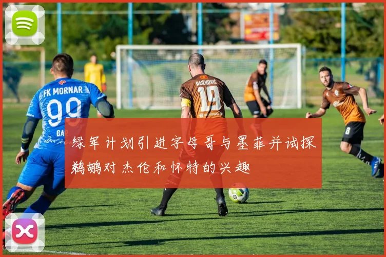 绿军计划引进字母哥与墨菲并试探鹈鹕对杰伦和怀特的兴趣