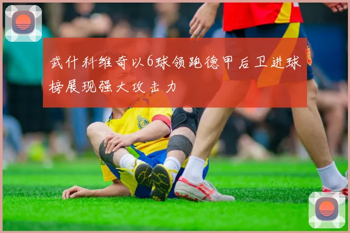 武什科维奇以6球领跑德甲后卫进球榜展现强大攻击力